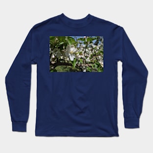 Bee on a flower Long Sleeve T-Shirt